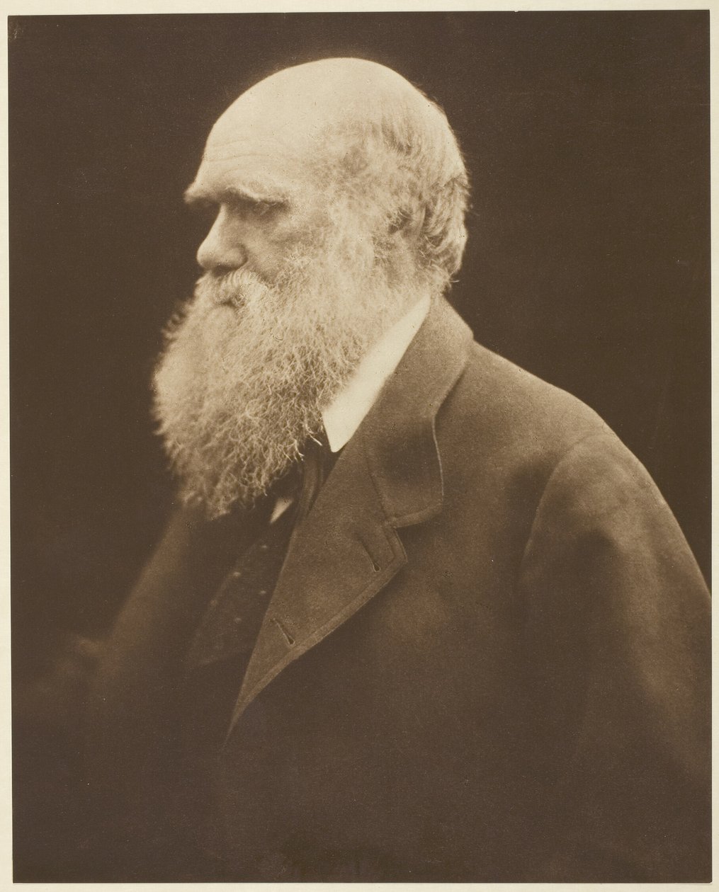 Charles Darwin von Julia Margaret Cameron