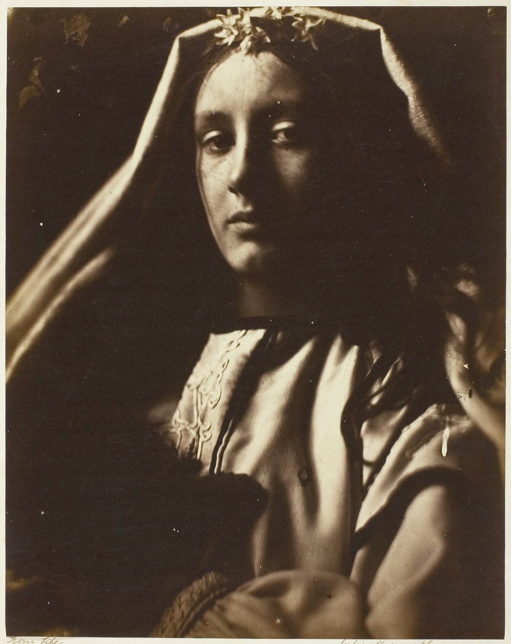 Der Neapolitaner von Julia Margaret Cameron