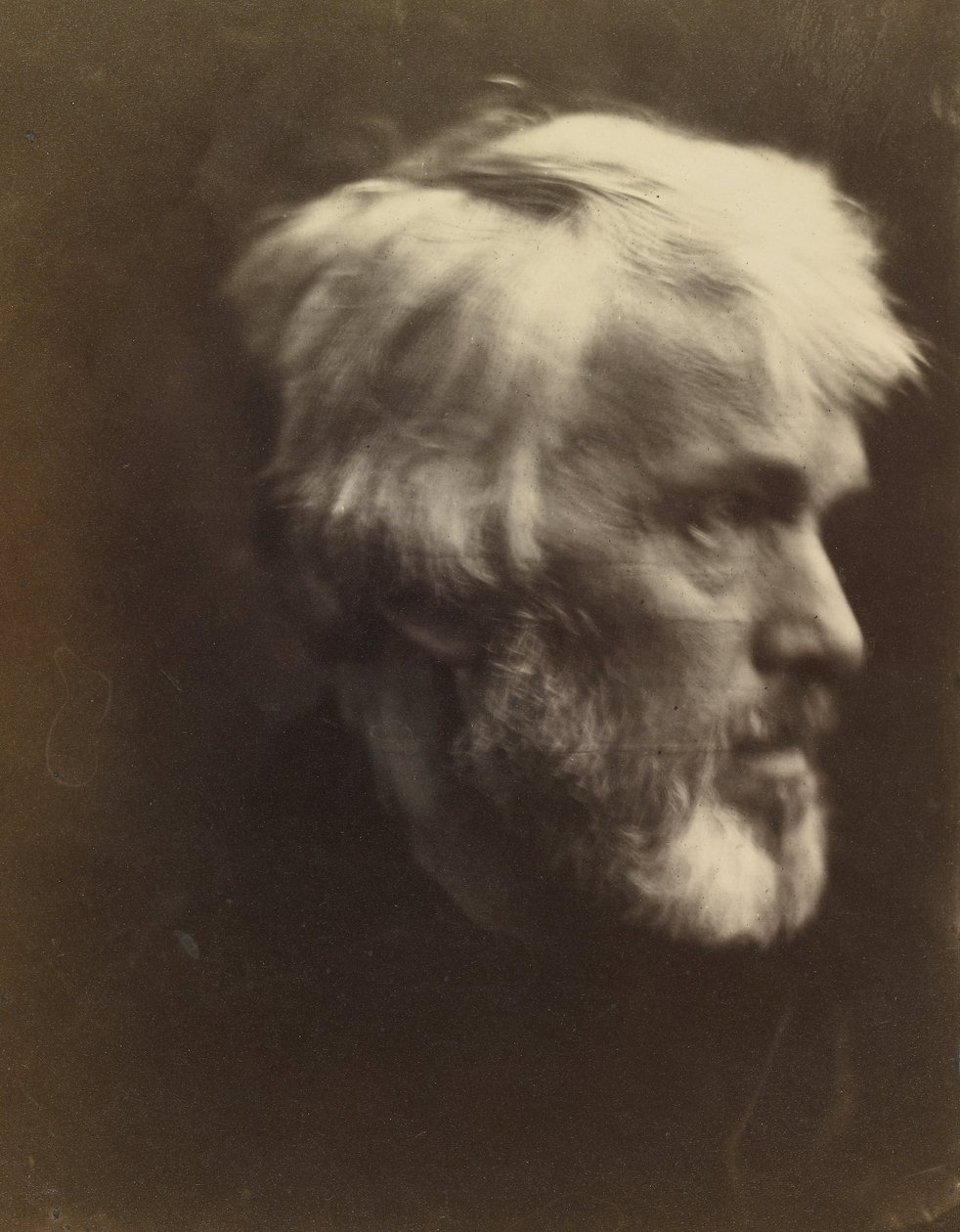 Thomas Carlyle (1795 - 1881) von Julia Margaret Cameron