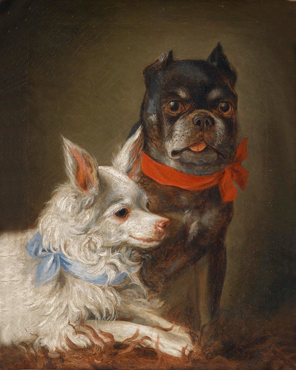Hundeporträt von Julius Hamburger