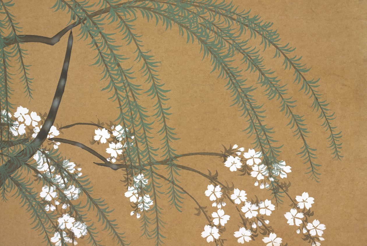 Yanagi Sakura, aus Momoyo-gusa von Kamisaka Sekka