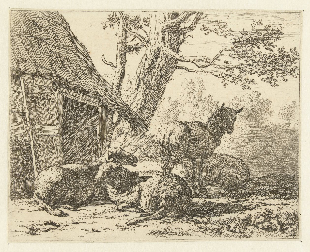 Vier Schafe von Karel Du Jardin