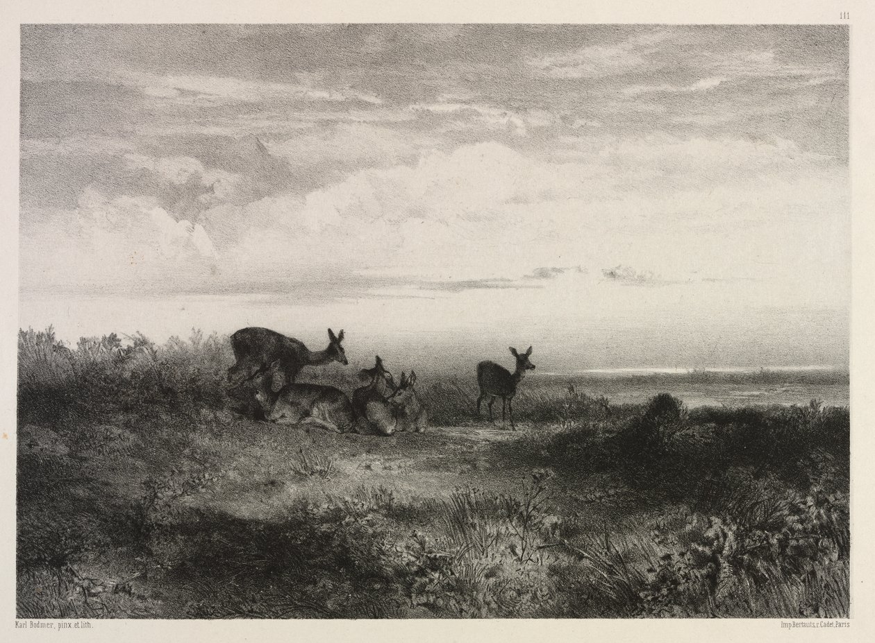 Landschaft mit Hirschen von Karl Bodmer