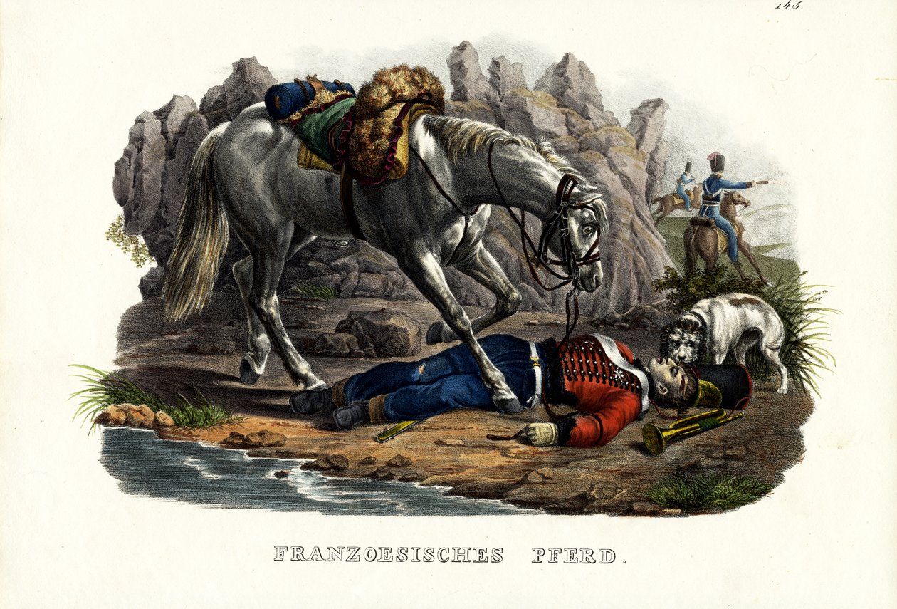 Französisches Pferd, 1824 von Karl Joseph Brodtmann