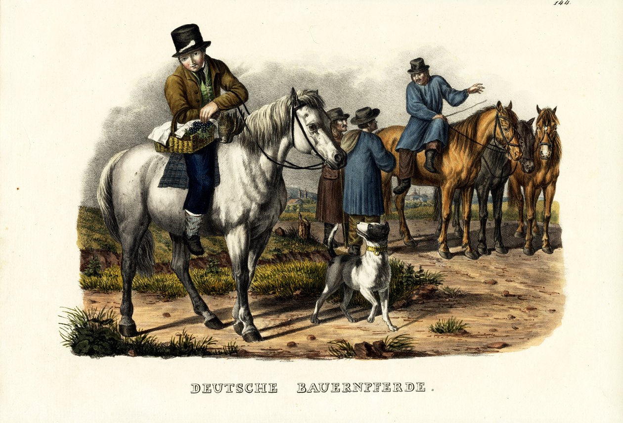Deutsche Bauernpferde, 1824 von Karl Joseph Brodtmann