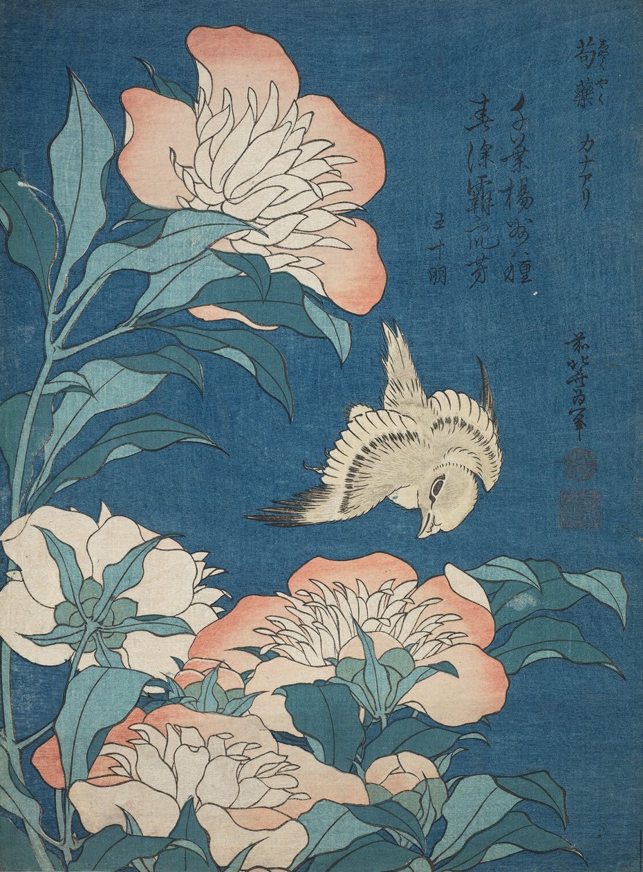 Pfingstrosen und Kanarienvogel (Shakuyaku, kanaari), aus einer unbetitelten Serie bekannt als Kleine Blumen von Katsushika Hokusai