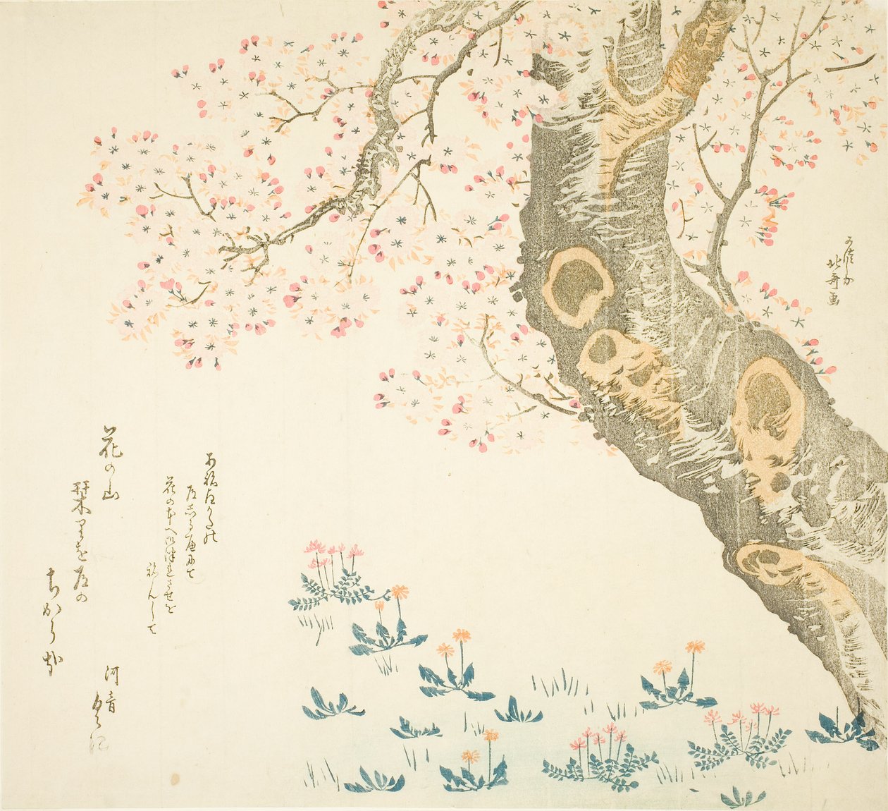 Löwenzahn und Klee unter Kirschbaum von Katsushika Hokusai