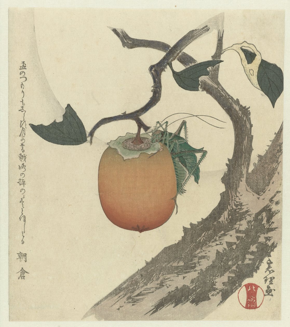 Kakifrucht mit Heuschrecke von Katsushika Hokusai