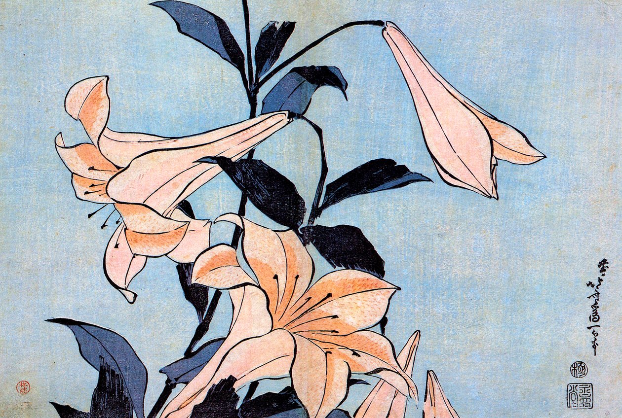 Lilien von Katsushika Hokusai