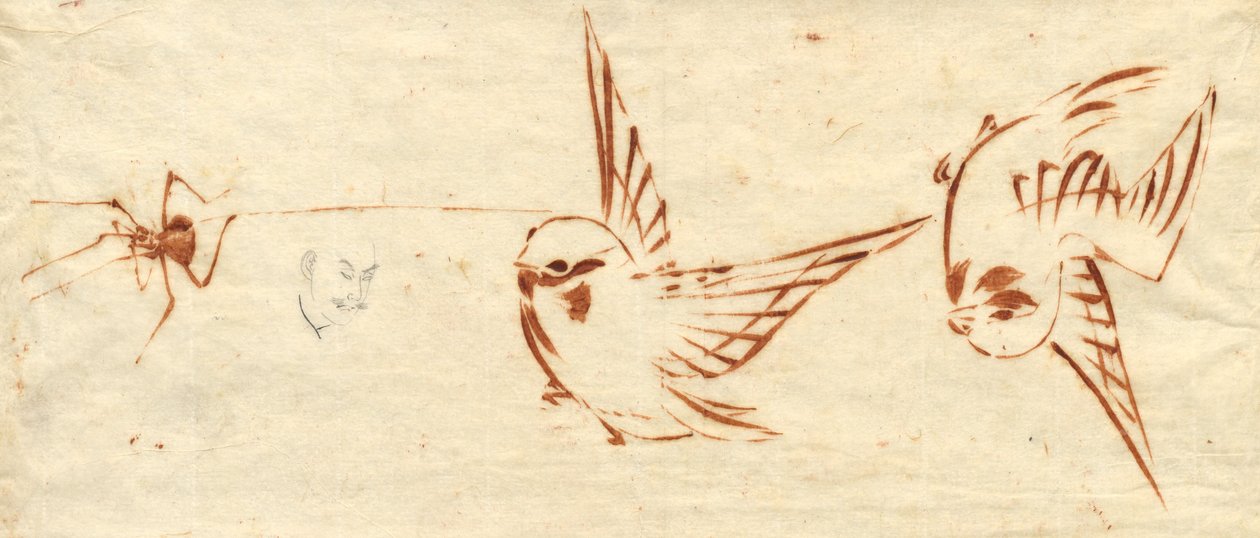 Skizzenseite mit Vögeln und Spinne von Katsushika Hokusai