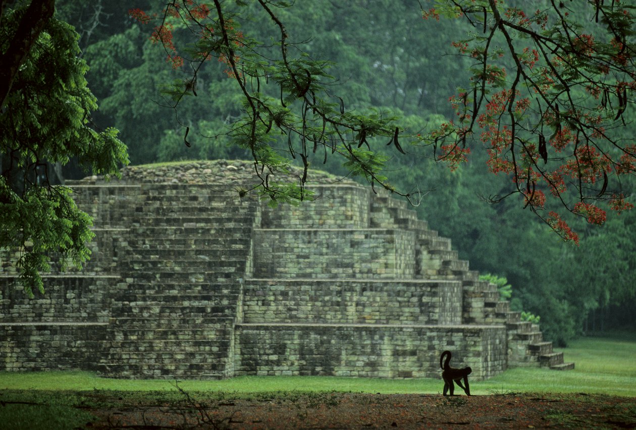 Honduras; Copan; Maya von Kenneth Garrett