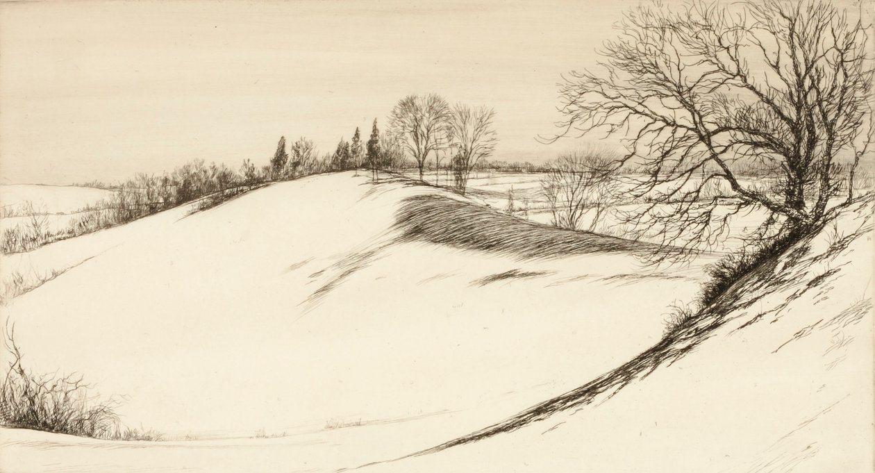 Der Rücken des Wals von Kerr Eby