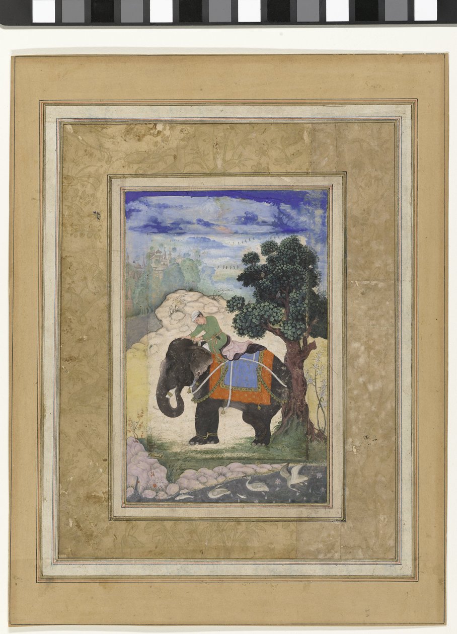 Elefant und Reiter von Keshavdas (possibly)