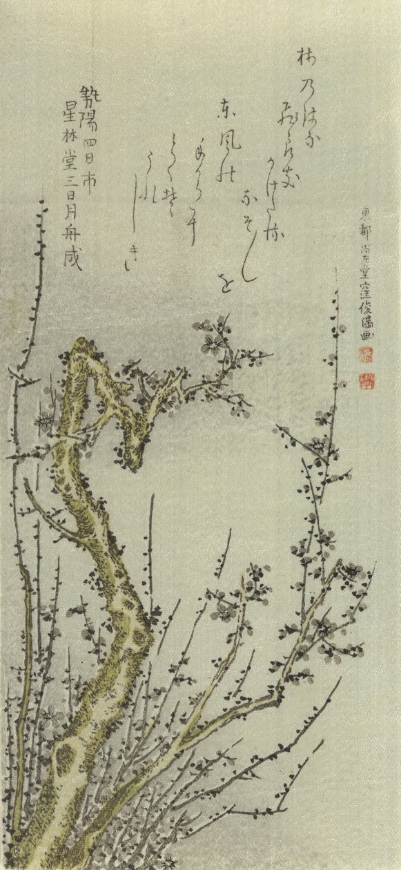 Alter Pflaumenbaum von Kubo Shunman