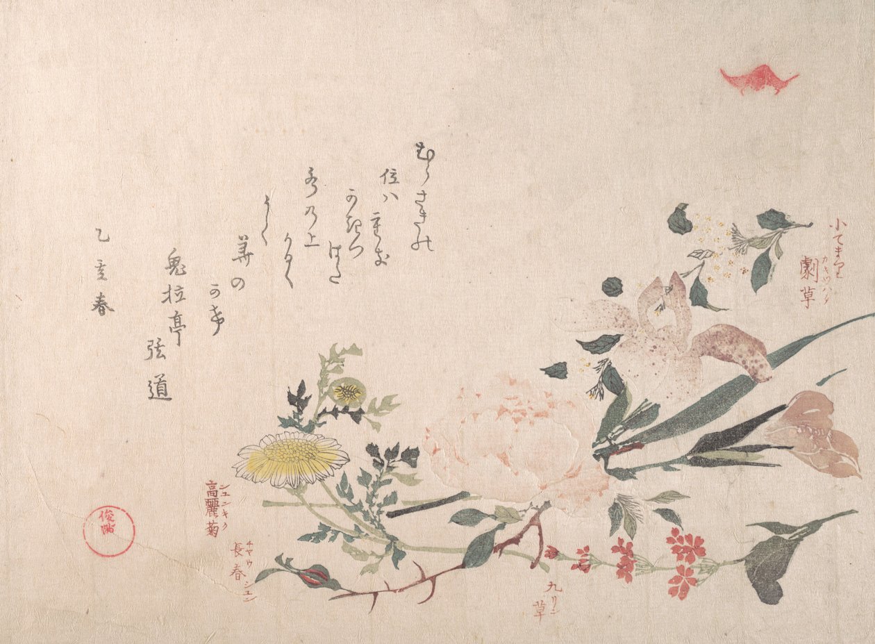 Rose, Iris, Primel und Gänseblümchen von Kubo Shunman