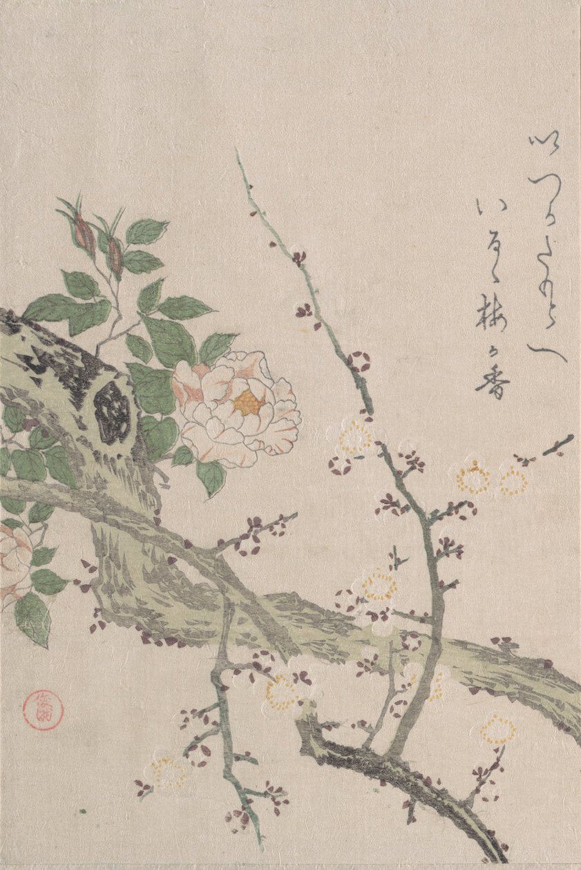 Rosen und Pflaumenblüten, 19. Jahrhundert von Kubo Shunman