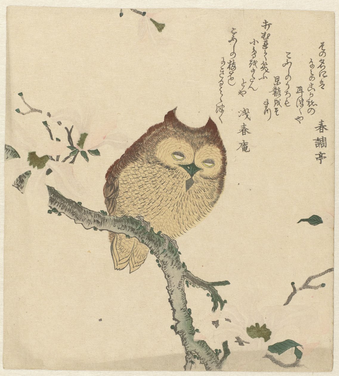 Eule auf einem Magnolienzweig von Kubota Shunman