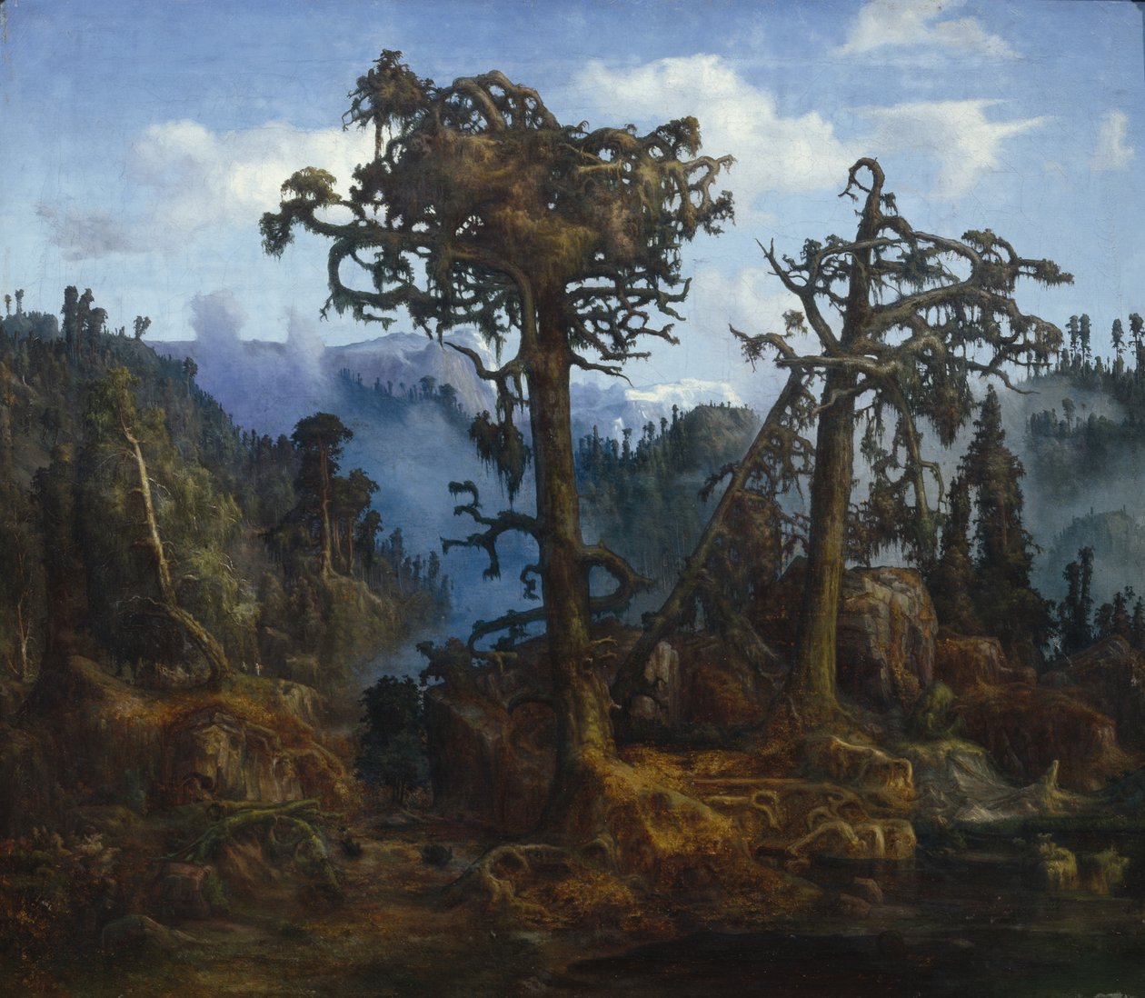 Alte Kiefern von Lars Hertervig