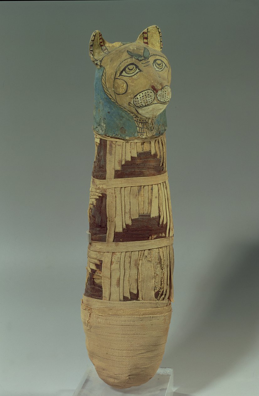 Mumifizierte Katze von Late Period Egyptian