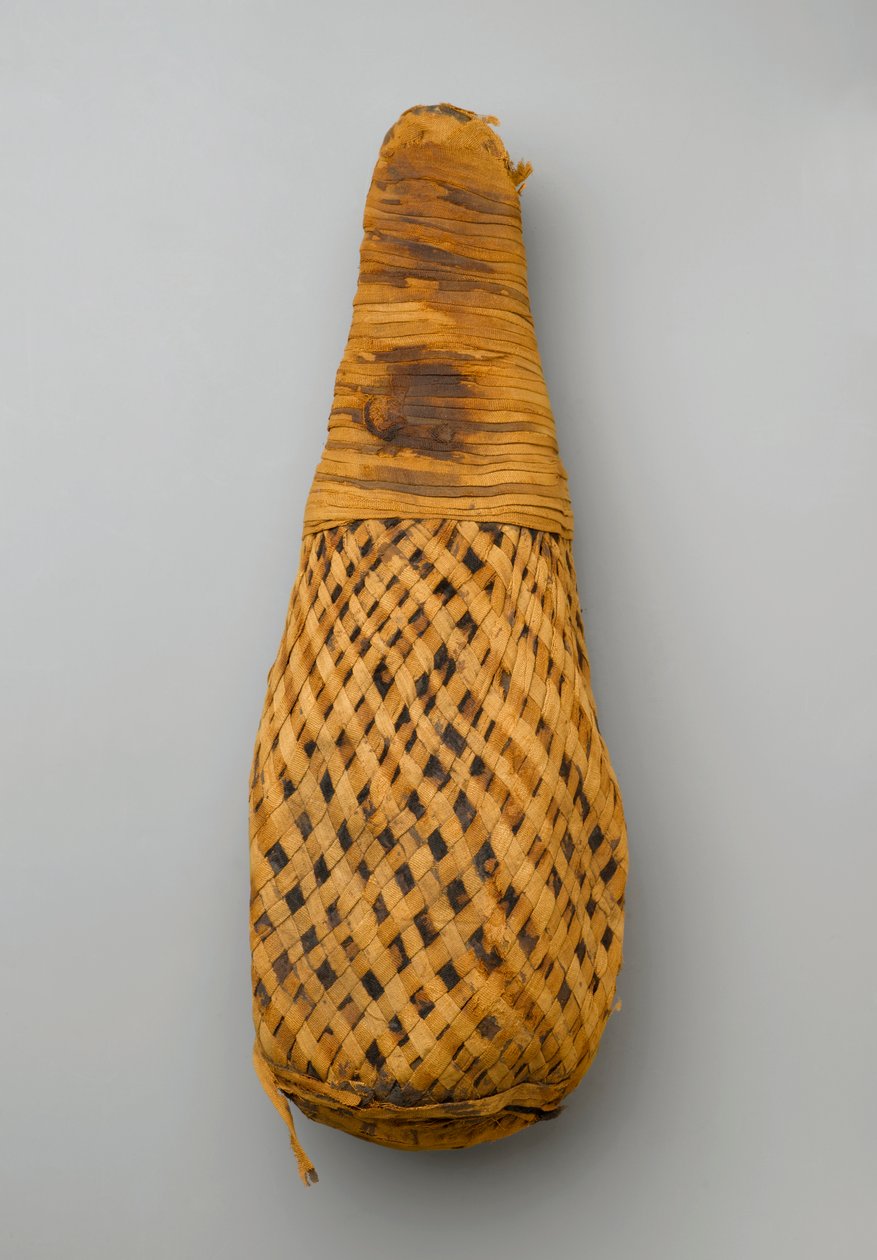 Mumie eines Ibis, 664-332 v. Chr. von Late Period Egyptian