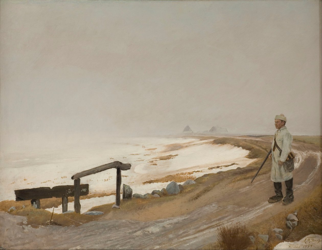 Nebliger Wintertag. Karrebæksminde von Laurits Andersen Ring