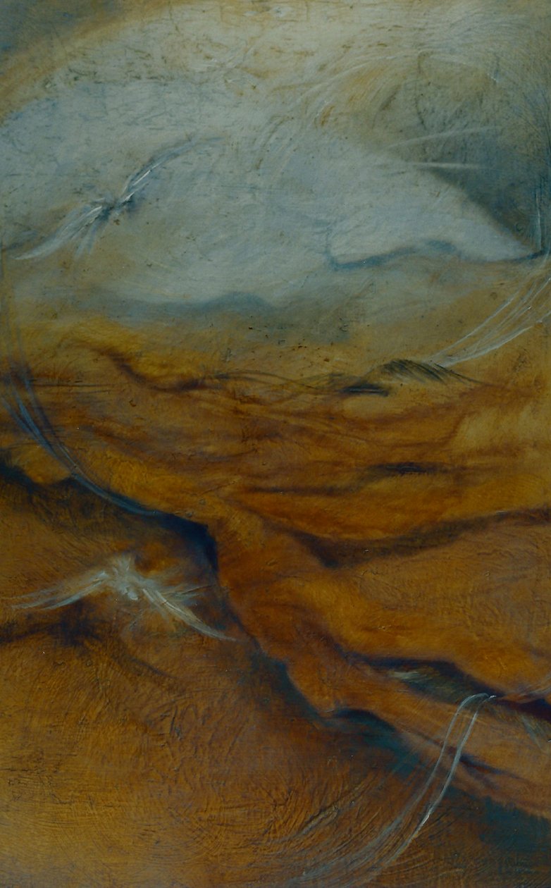 Substratum, 1996 von Lee Campbell