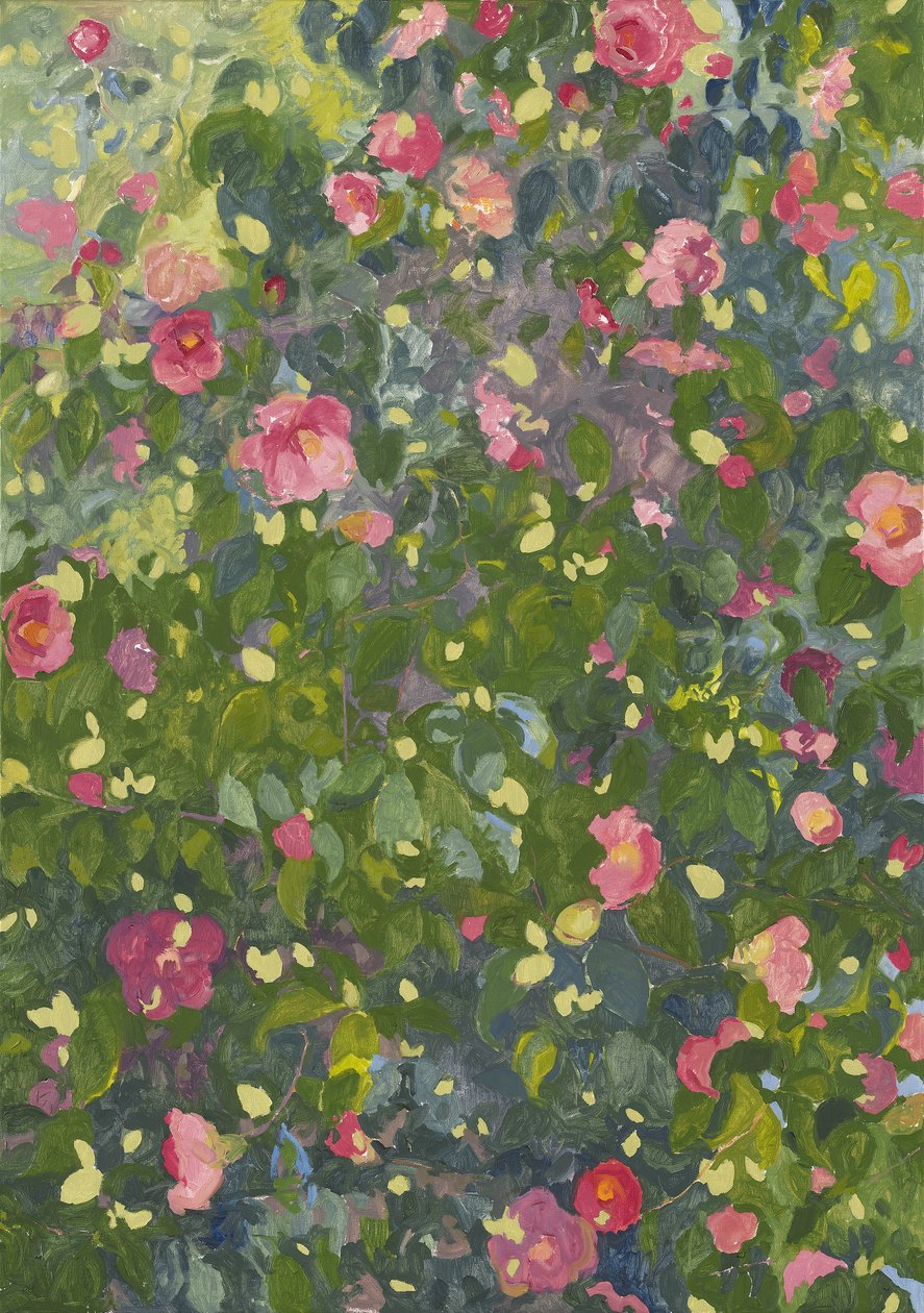 Kamelie in Blüte, 2014 von Leigh Glover