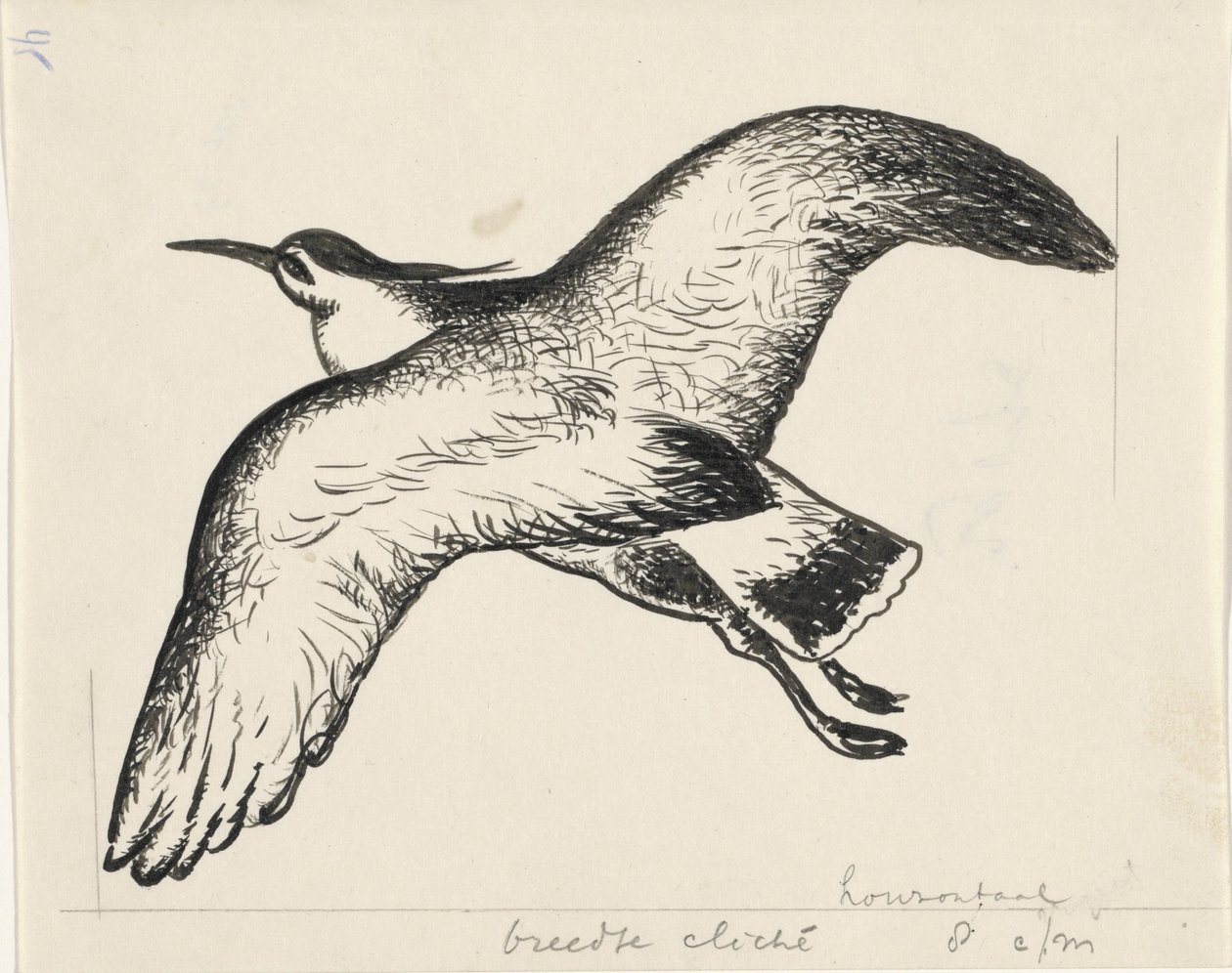 Fliegender Vogel von Leo Gestel