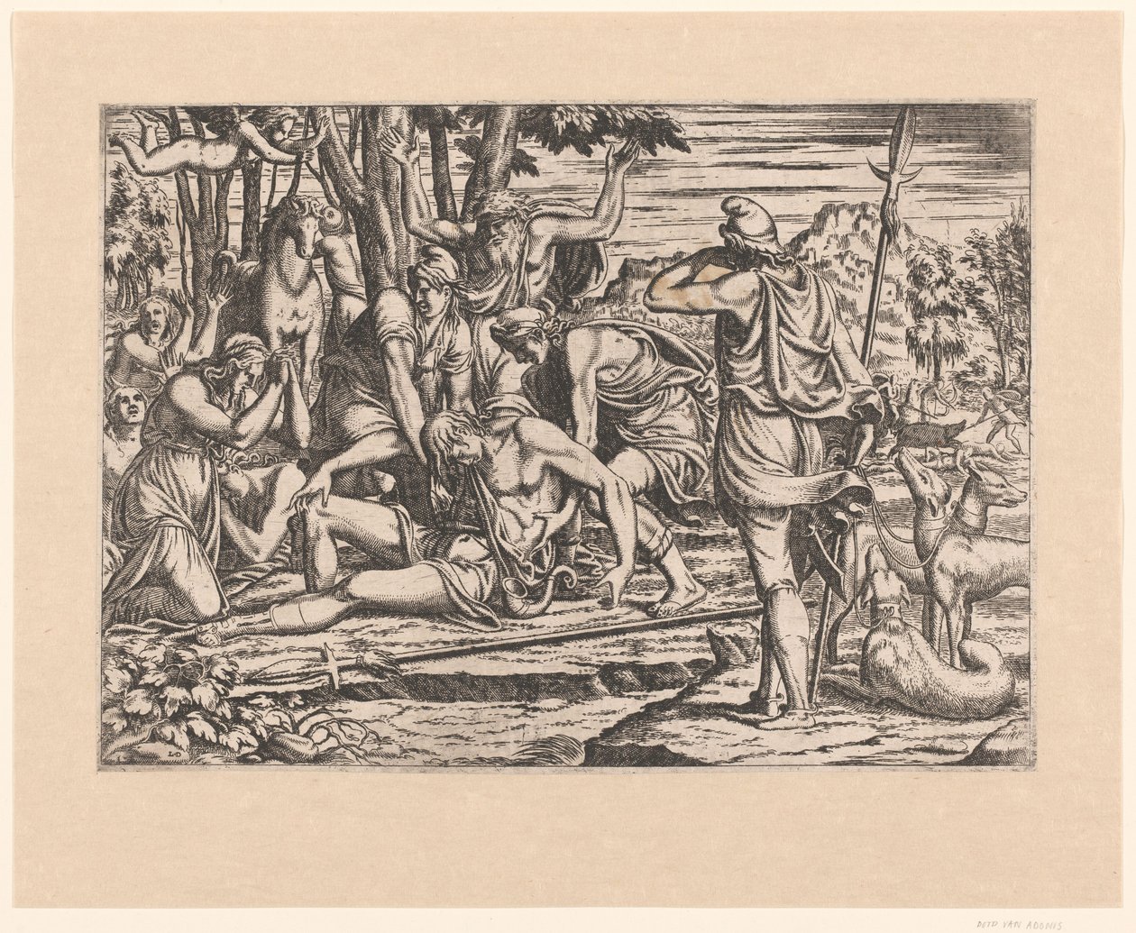 Tod des Adonis von Leon Davent