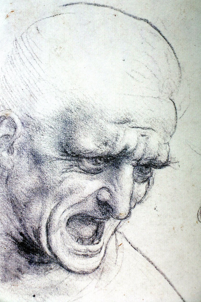Schlacht von Anghiari von Leonardo da Vinci
