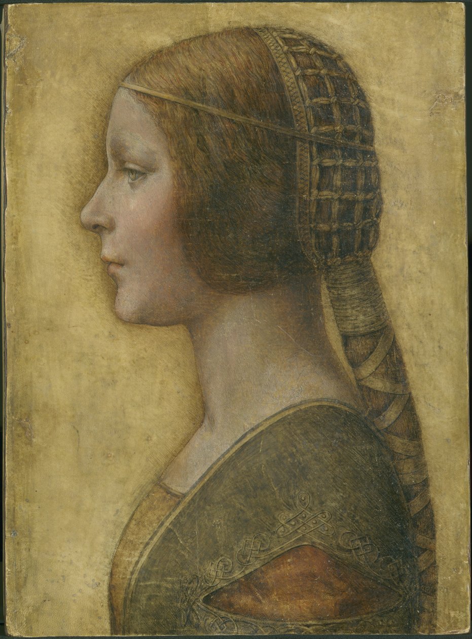 Schöne Prinzessin von Leonardo da Vinci