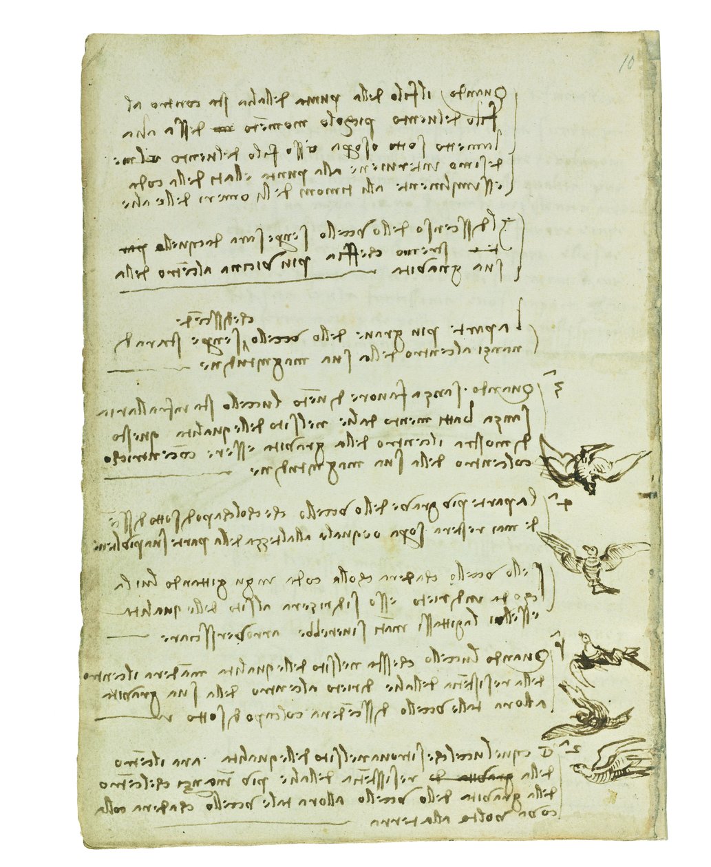 Codex über den Vogelflug, Folio 7 verso von Leonardo da Vinci