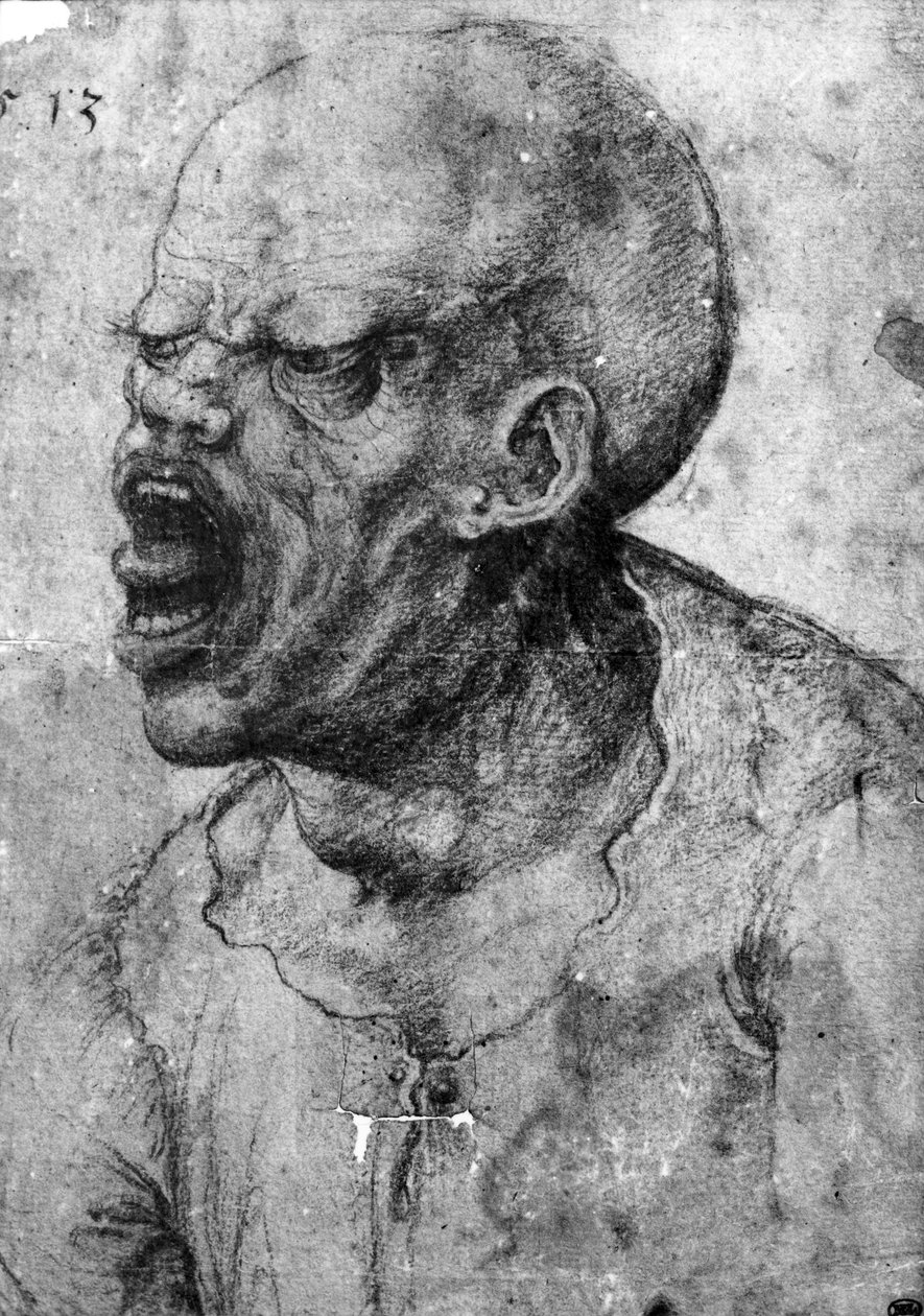 Porträt eines schreienden Mannes von Leonardo da Vinci