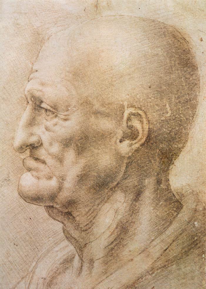 Profil eines alten Mannes von Leonardo da Vinci