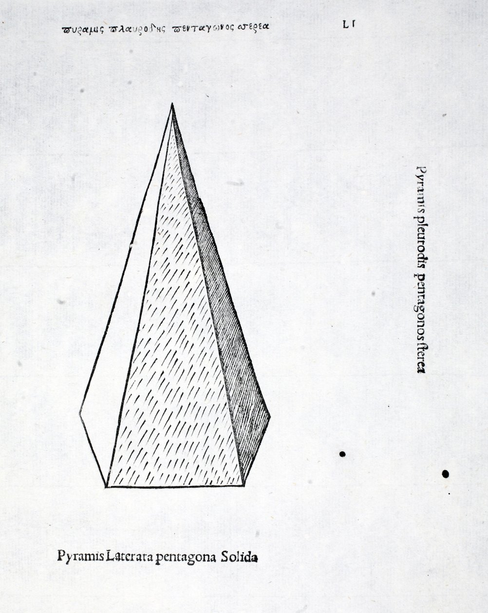 Pyramis laterata pentagona solida, Illustration aus 