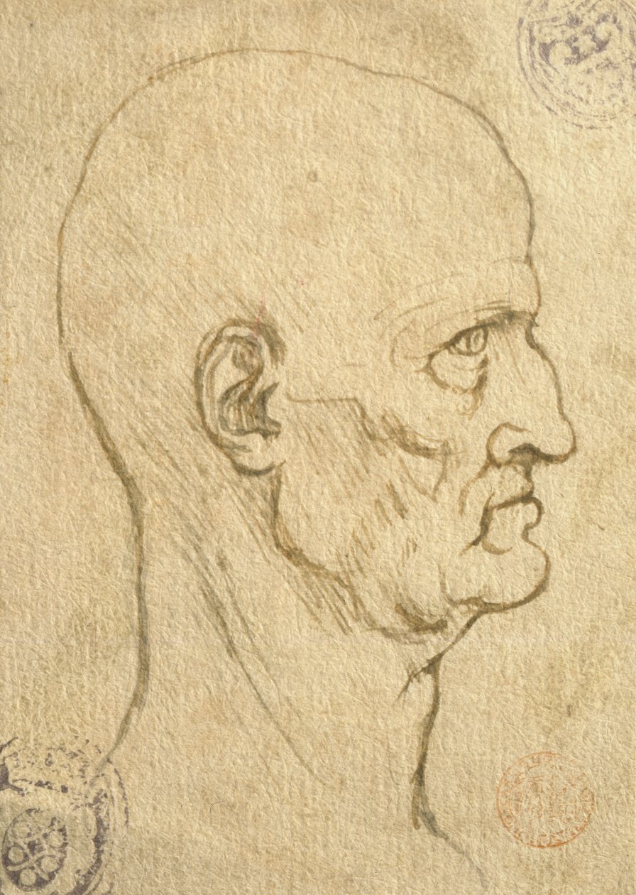 Studie der menschlichen Proportionen von Leonardo da Vinci