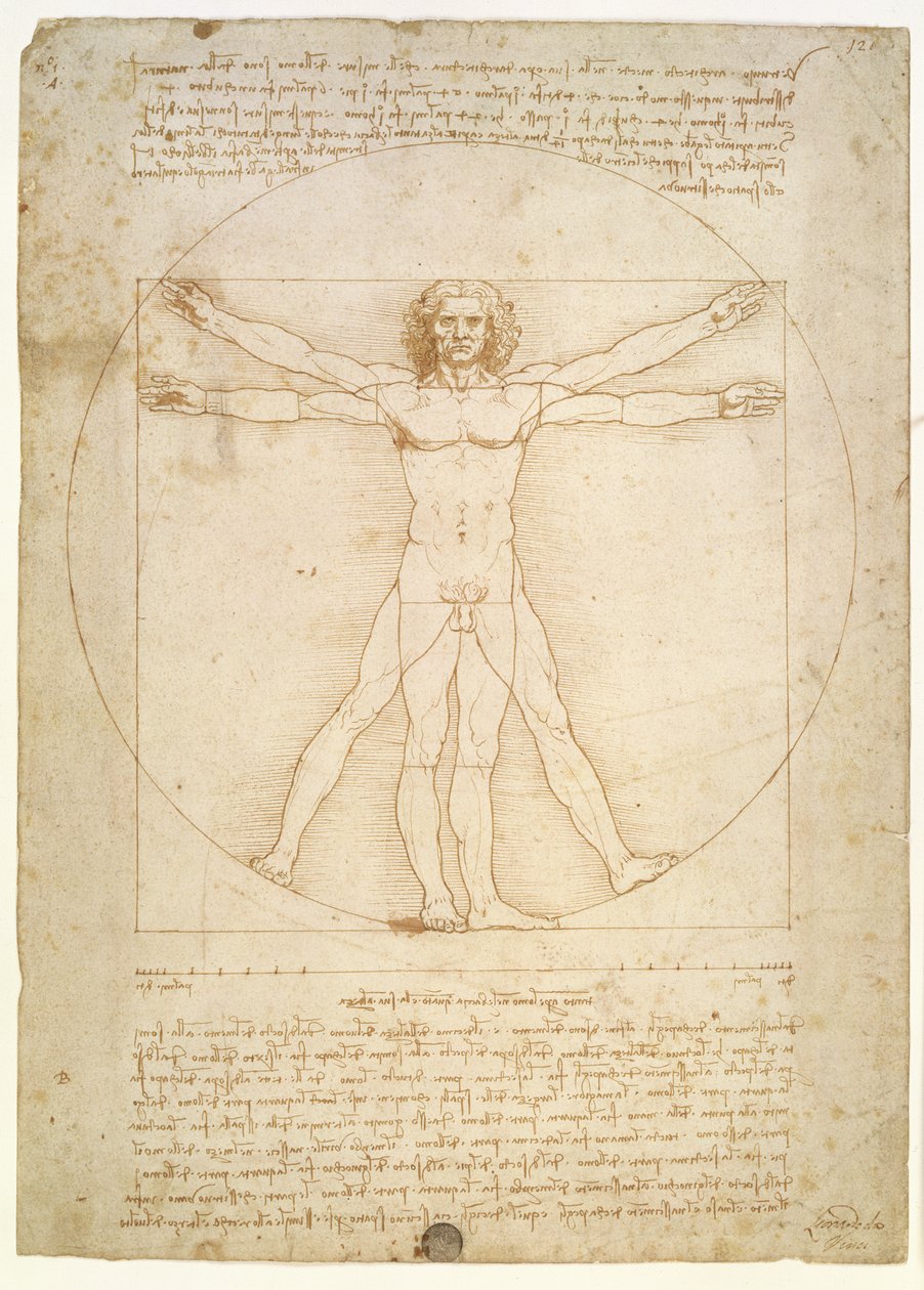 Die Proportionen der menschlichen Figur (nach Vitruv) ca. 1492 von Leonardo da Vinci