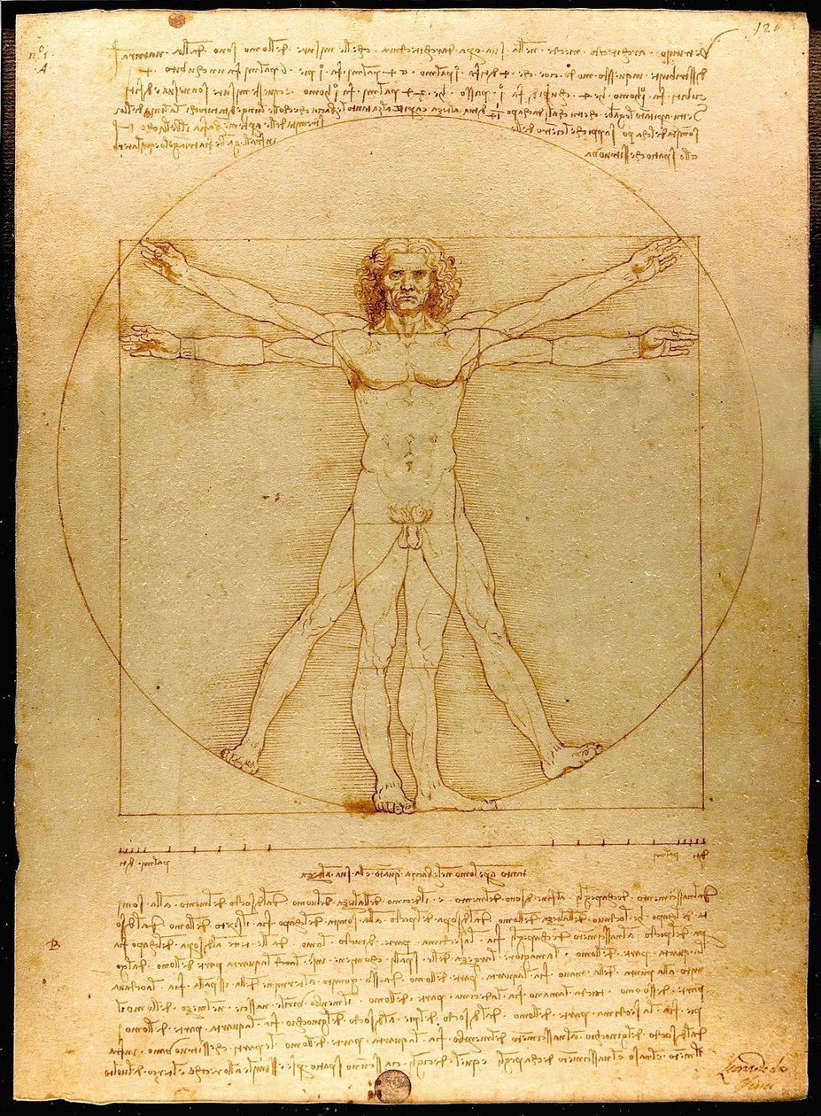 Vitruvianischer Mann von Leonardo da Vinci