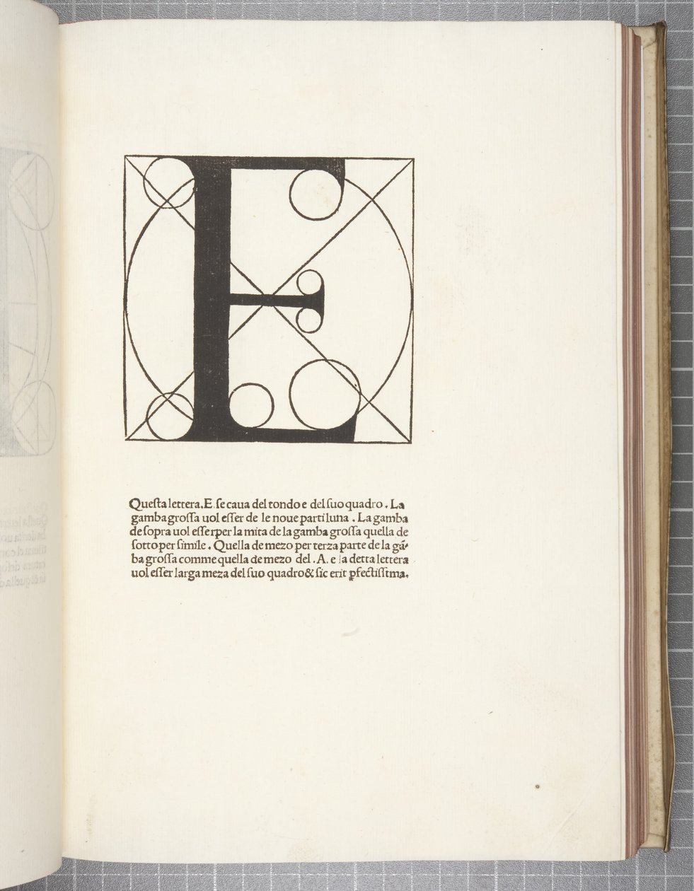 Divina Proportione von Leonardo da Vinci