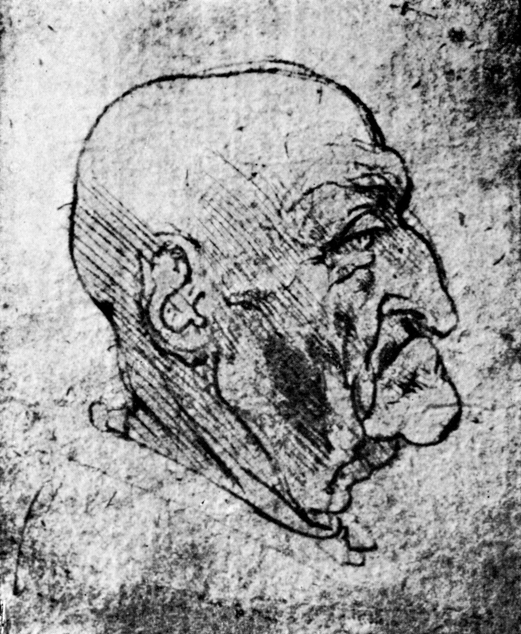 Kopf eines alten Mannes, 1913 von Leonardo da Vinci