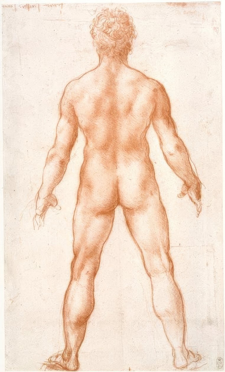 Männlicher Akt von hinten von Leonardo da Vinci