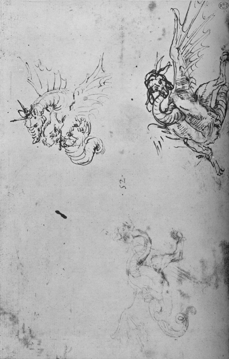 Studien eines Drachen, um 1480, 1945 von Leonardo da Vinci