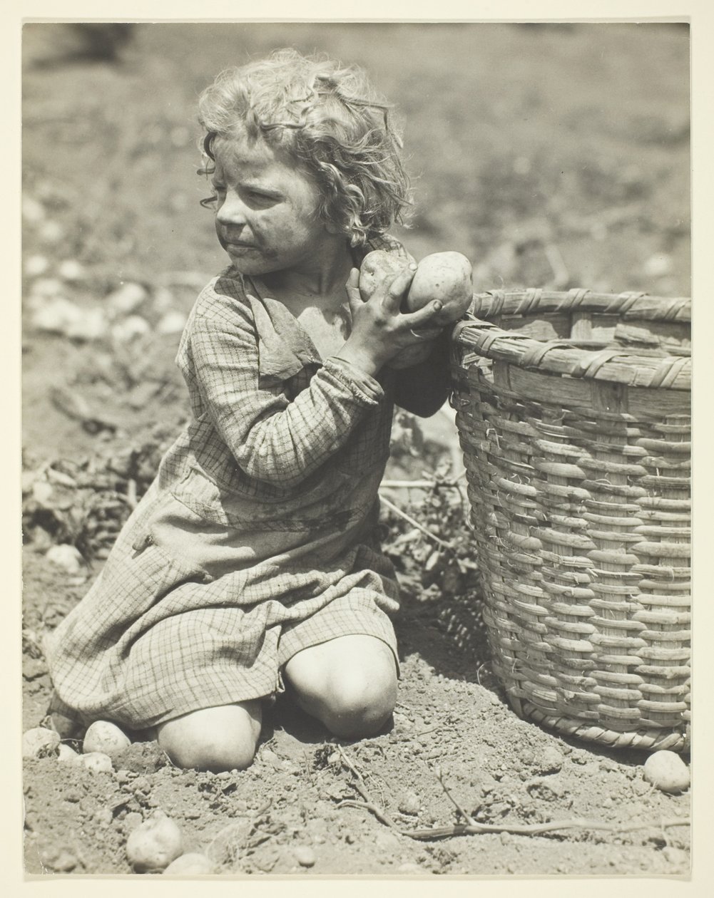 Kinderarbeit auf dem Bauernhof von Lewis Wickes Hine