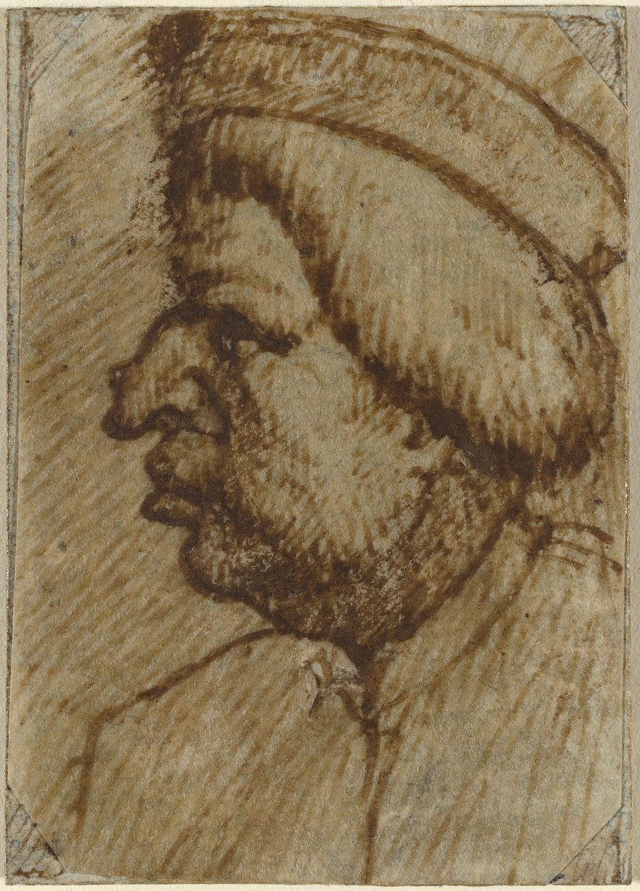 Profil eines Mannes von Lombard 16th Century
