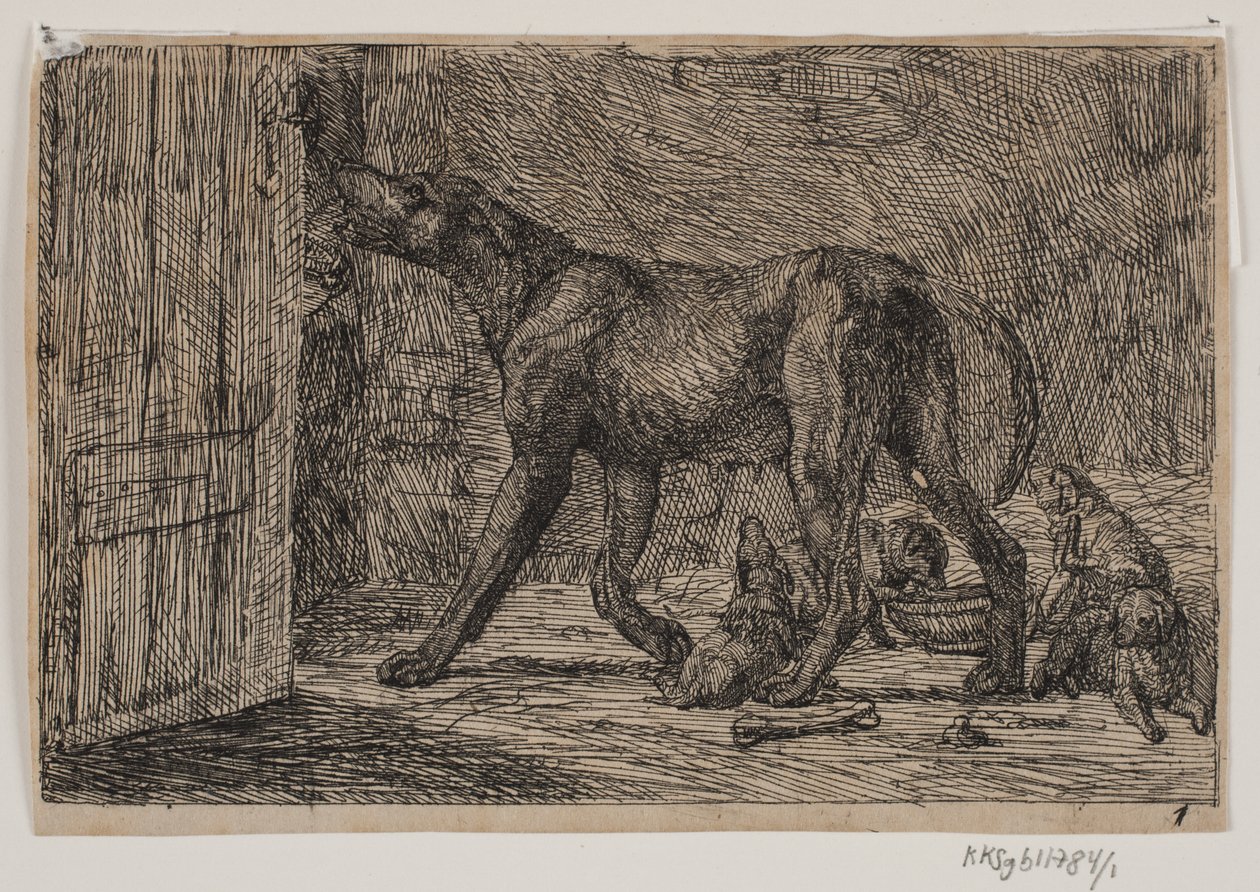 Bild 1 von Lorenz Frølich