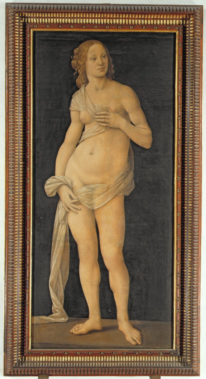 Venus von Lorenzo di Credi