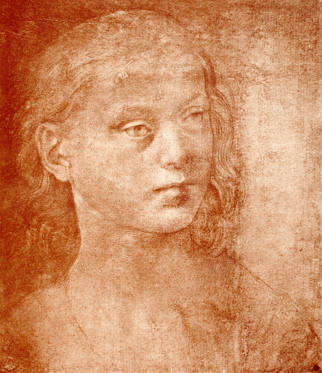Mädchenkopf von Lorenzo di Credi
