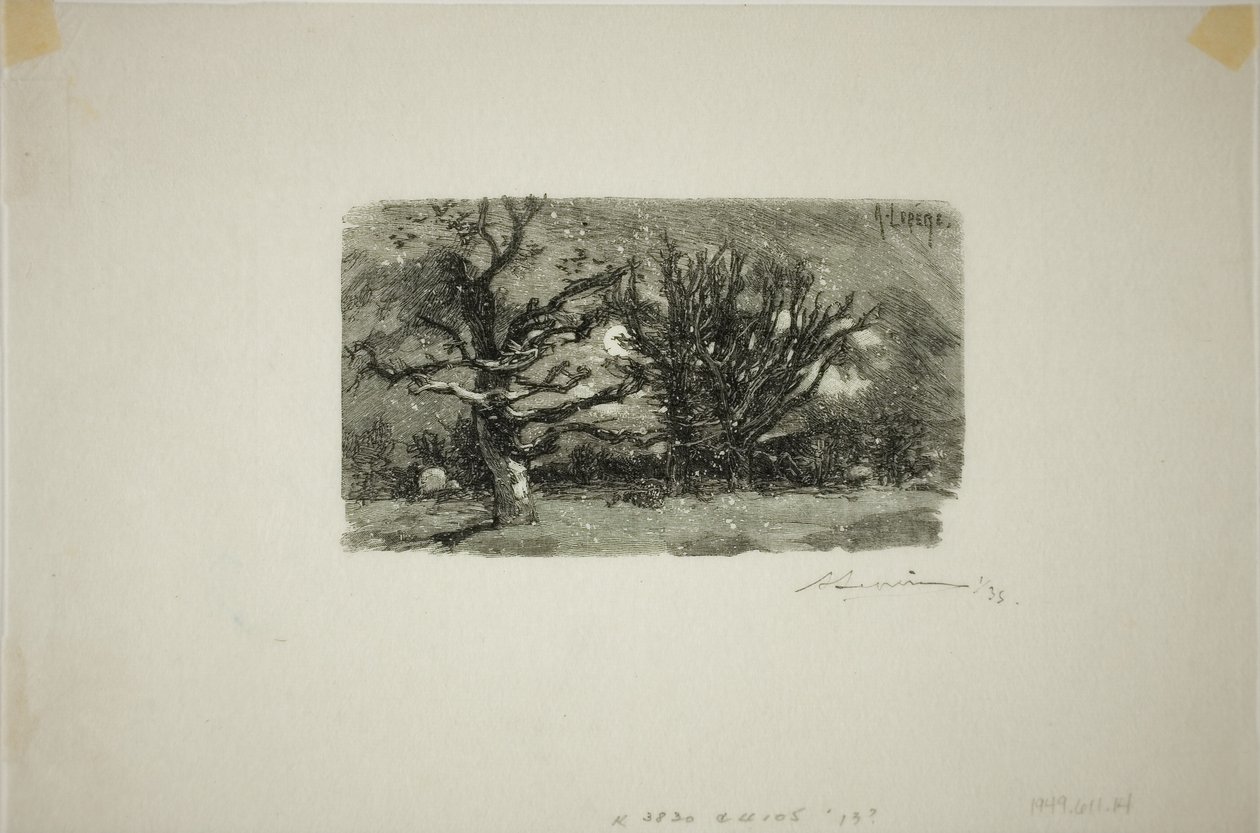 Im Schlafsaal von Lantara von Louis Auguste Lepère
