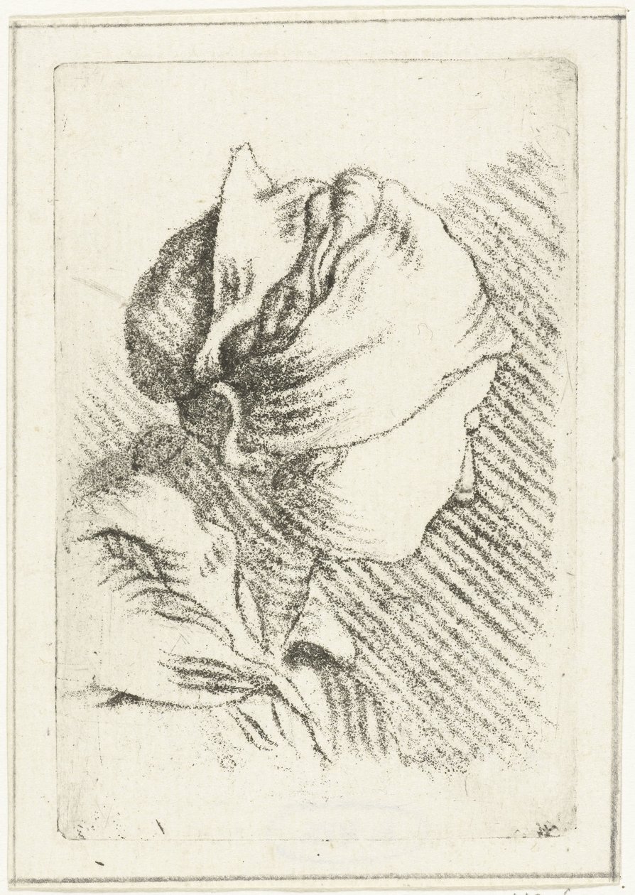 Studienblatt mit einem Frauenkopf mit Kopftuch von Louis Bernard Coclers