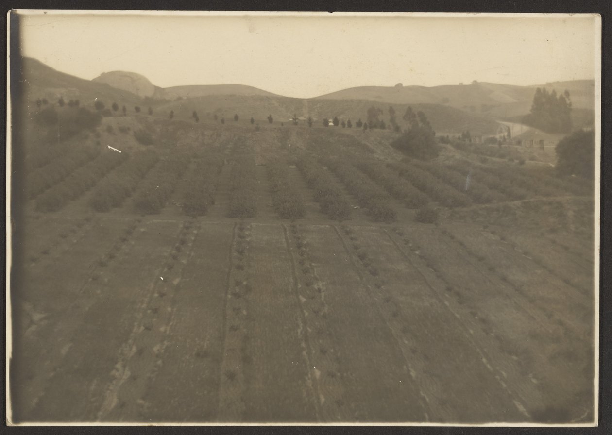 Bauernlandschaft von Louis Fleckenstein